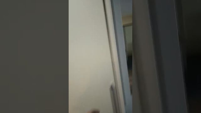 ЛЕСНЫЕ ДАЛИ ПАНСИОНАТ смотреть онлайн