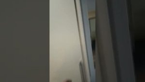 ЛЕСНЫЕ ДАЛИ ПАНСИОНАТ