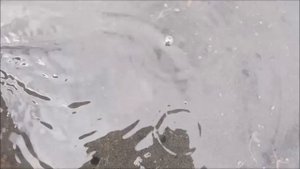 Озеро Шамеля ( Сульфатное) в Курганской области. Полный гид