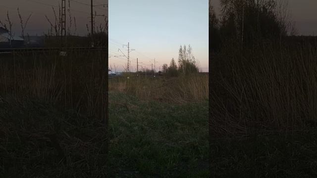 Лежачий