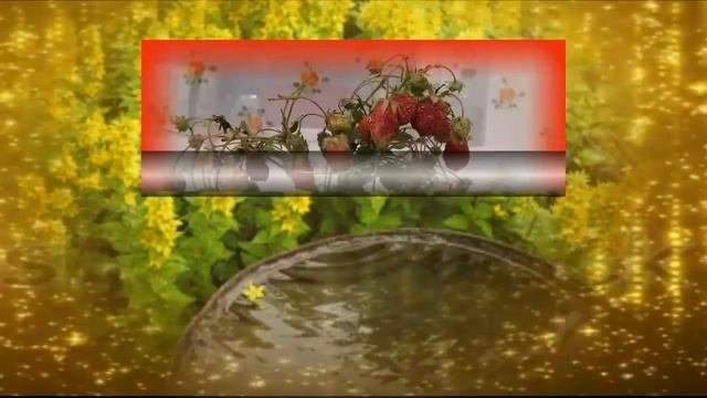 #Поход_за_земляникой