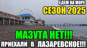 ЛАЗАРЕВСКОЕ 2025/ЕДЕМ НА МОРЕ/МАЗУТА НЕТ/ВЕСЕННЯЯ ПРОГУЛКА #лазаревское2025  #лазаревское #море2025