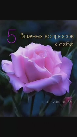 5 важных вопросов к себе 💫