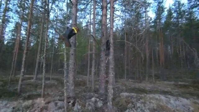 Таёжное озеро часть2