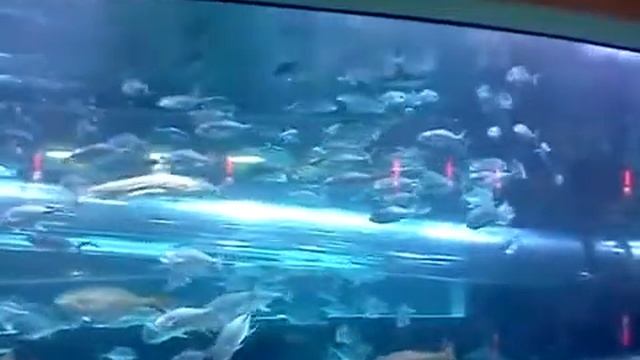 Отель "Золотой самородок" (Golden Nugget Hotel) смотреть онлайн