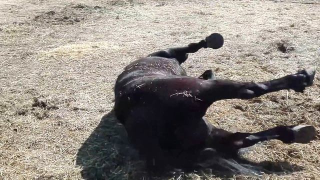 выходные дни смотреть онлайн