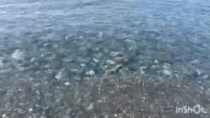 Обзор Ателики Сокол, октябрь2023