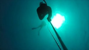 Life Aquatic Freediving & Yoga school
