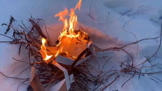 Выживание в лесу (1 часть) волки подошли близко смотреть онлайн