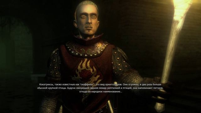 The Witcher Золотое Издание Путь Геральта и Шани в Вызиму #13