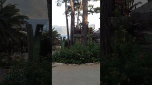 Гранд-Язычи Клаб Тюрбан отель. Мармарис