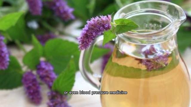 Hyssop Tea: A Holy Beverage with Extraordinary Benefits Not Many Know смотреть онлайн