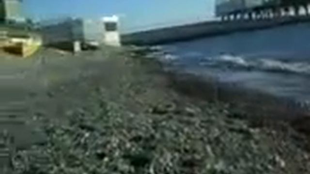 Ужин На Сегодня смотреть онлайн