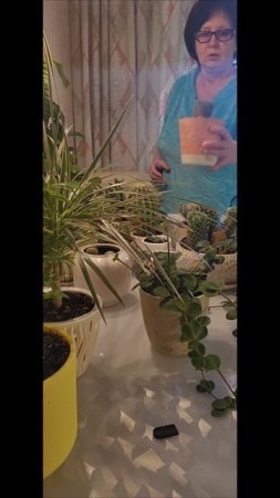 Обрезаем длинный кактус.