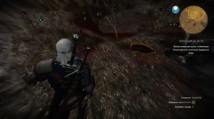 Ведьмак 3 найти останки кольгрима