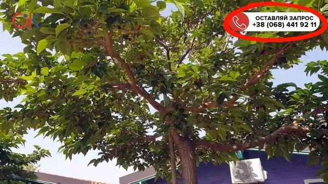 Обзор отеля в Италии NUOVO NATURAL VILLAGE PORTO POTENZA PICENO смотреть онлайн