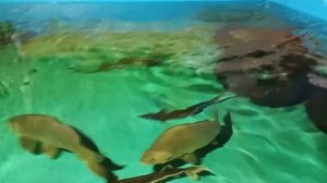 аквапарк самара