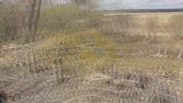 Осмотр Храмового пруда.  Зимой убирали  деревья.  25. 04. 2018  Снимает В. Пащенко