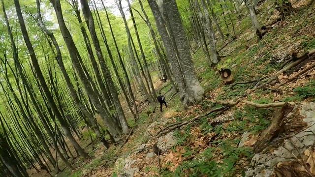 т\с кош - с.многоречье смотреть онлайн