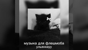 музыка для флешмоба