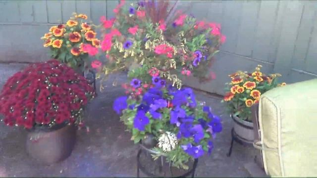 #ASMR, MY PATIO GARDEN AND FURNITURE, SOFT SPOKEN, SOUNDS OF NATURE. #АСМР, ВНУТРЕННИЙ ДВОРИК ДИЗАЙ смотреть онлайн