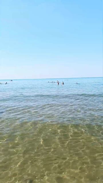 Мы приехали в Плехо. смотреть онлайн