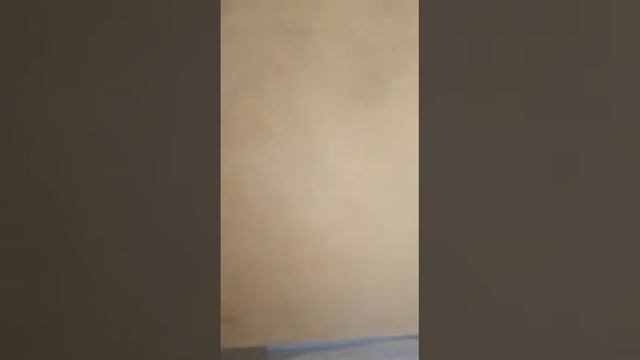 Адыгейск , ул.Хакурате смотреть онлайн