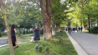 Green and cozy Yerevan❤️💙🧡Ереван Очень уютное место на земле .Армения.