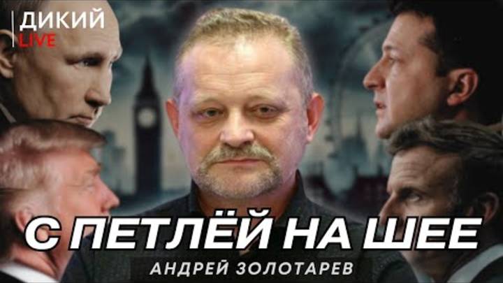 По итогу... Андрей Золотарев. Дикий LIVE.