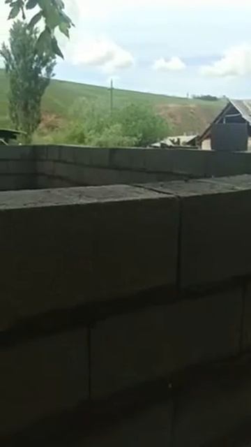 Эшиги жок баня салган братан!!! смотреть онлайн