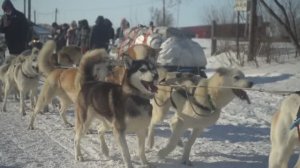 «Дневники Берингии». Выпуск 4
