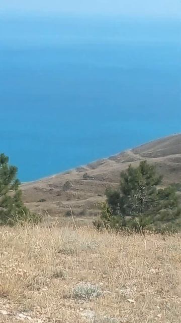 #Crimea #feodosia #море #природа #отдых #video #пляжи #новости #дикиеместа #russia #shorts смотреть онлайн