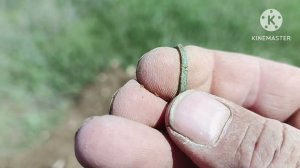 Классный шурф 14.04.25г.