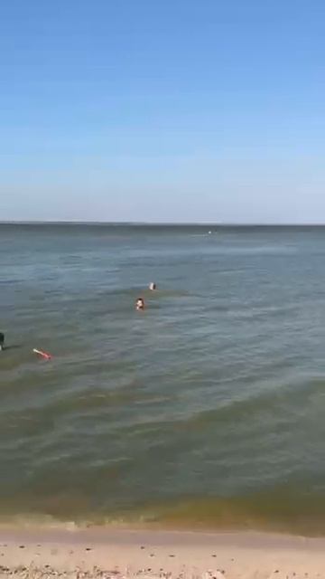 ЕЙСК. 20.06.2024. ПЛЯЖ КИРПИЧИКИ #2024 #азовскоеморе #лето2024 #ейск #ейск2024 #отпуск2024 #отпуск смотреть онлайн