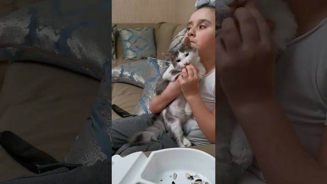 Симба любит семечки