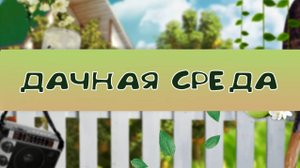 Дачная среда:чистим, проводим профилактику и подкармливаем оживающие на наших участках многолетники