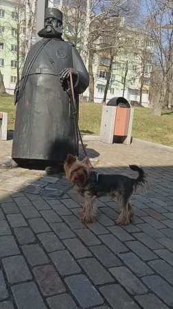 Кожаный и шерстяной - Городовой