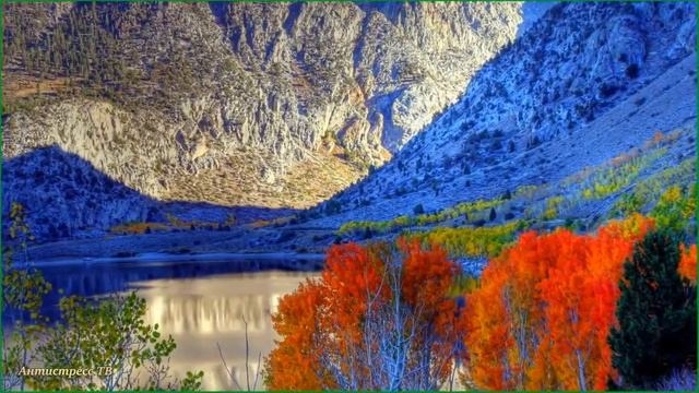 Музыка потрясающая! Релакс сборник для души смотреть онлайн