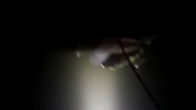 Подводная охота на судака конец февраля 2015 г смотреть онлайн