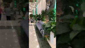 Паркетный зал,Зимний сад в Кремле