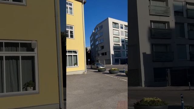 Велосипедная прогулка по Кадриоргу.Придорожные рестораны,уличная библиотека.