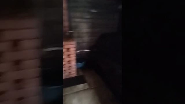 дом отдыха ChegHouse смотреть онлайн