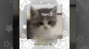ТЁПЛЫЕ КОТЫ SPEED UP (СКОРОСТЬ 13 1)