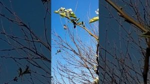 Прекрасное весеннее утро!