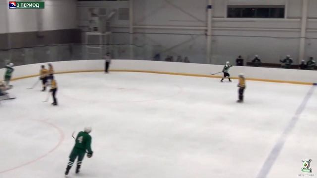 ЛОНОПАРК 1 : 4 Tigers. Игра №14. Гол Сомова Павла. смотреть онлайн