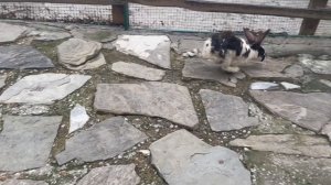 Геленджик . Лучшее место для отдыха с детьми, обзор!