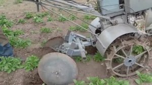 Дисковое окучивание картофеля мотокультиватором.
