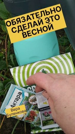 Обработка Клубники Весной!