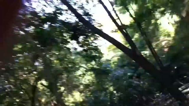 Маями/Багамы/Ямайка/Мексика смотреть онлайн