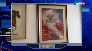 Сам себе режиссер 06.08.2017